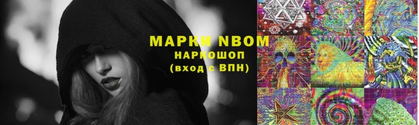 винт Алзамай