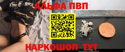 стафф Гай
