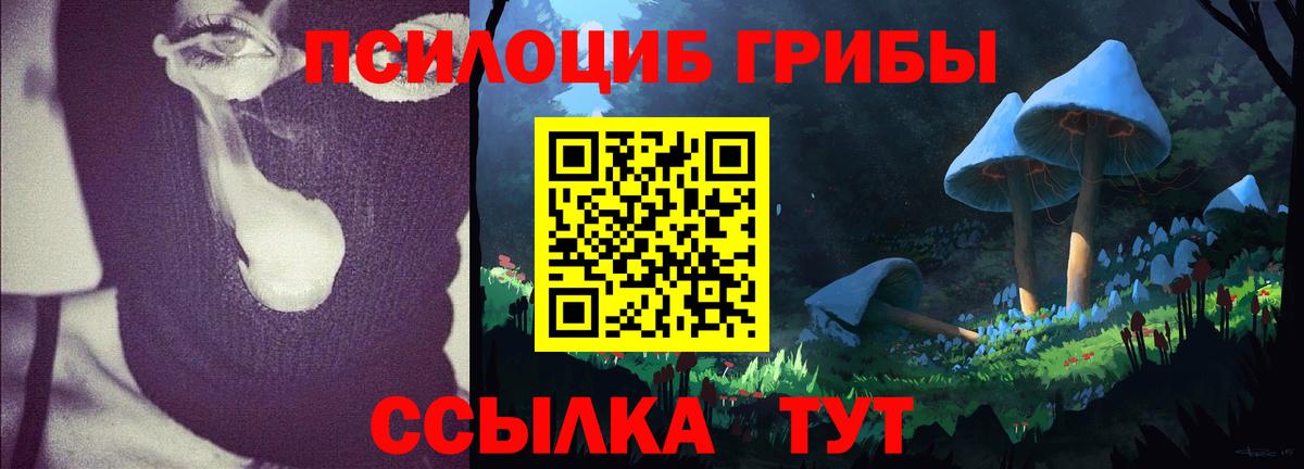 Альфа ПВП Ливны