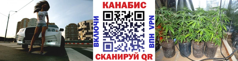 Бошки марихуана сатива  Ливны 